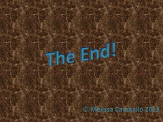 Emse3122presentation