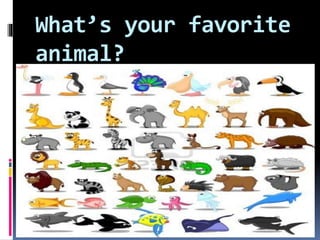 What’s your favorite
animal?
 