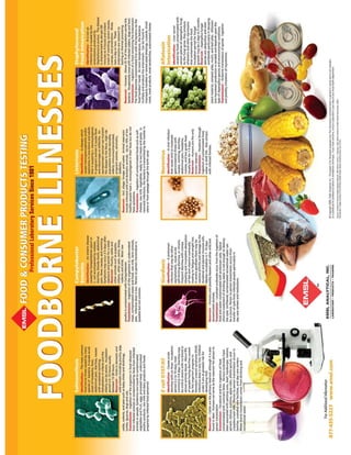 Emsl food poster
