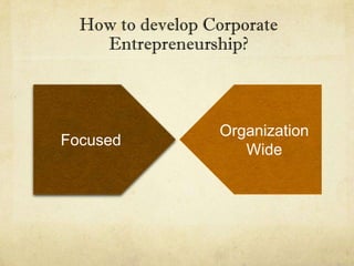 How to develop Corporate
    Entrepreneurship?



                  Organization
Focused
                     Wide
 