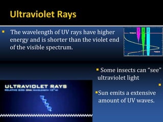  The wavelength of UV rays have higher
energy and is shorter than the violet end
of the visible spectrum.
 Some insects can “see”
ultraviolet light .

Sun emits a extensive .
amount of UV waves. .
 