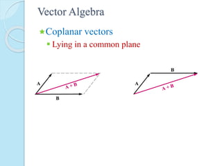 Vector Algebra
Coplanar vectors
 Lying in a common plane
 