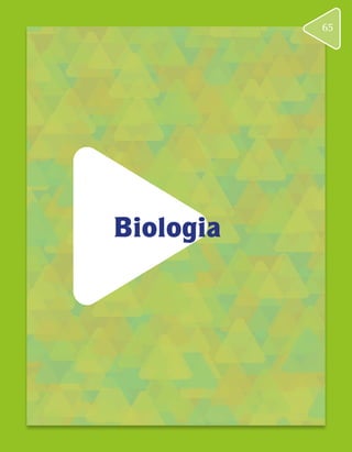 Biologia
65
 