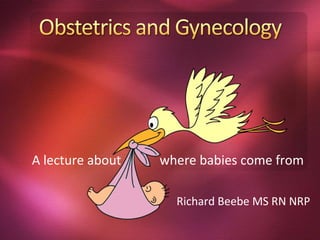 A lecture about   where babies come from

                    Richard Beebe MS RN NRP
 