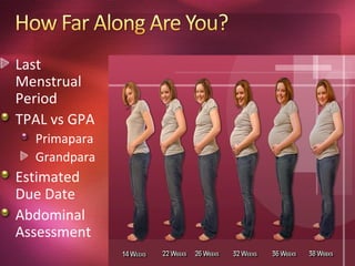 Last
Menstrual
Period
TPAL vs GPA
  Primapara
  Grandpara
Estimated
Due Date
Abdominal
Assessment
 