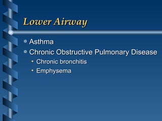 Lower Airway Asthma Chronic Obstructive Pulmonary Disease Chronic bronchitis Emphysema 