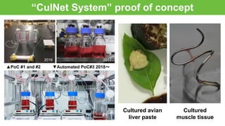 “CulNet System” proof of concept 
▲PoC #1 and #2 　　▼Automated PoC#3 2018～
2016 2017
Cultured avian
liver paste
Cultured
mu...