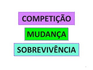 COMPETIÇÃO 
SOBREVIVÊNCIA 
MUDANÇA 
12  