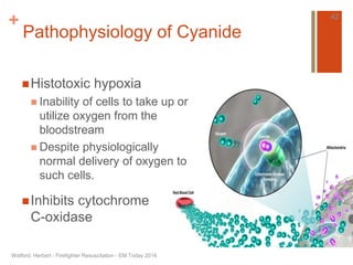 + 
Pathophysiology of Cyanide 
Histotoxic hypoxia 
 Inability of cells to take up or 
utilize oxygen from the 
bloodstream 
 Despite physiologically 
normal delivery of oxygen to 
such cells. 
Inhibits cytochrome 
C-oxidase 
Watford, Herbert - Firefighter Resuscitation - EM Today 2014 
42 
 