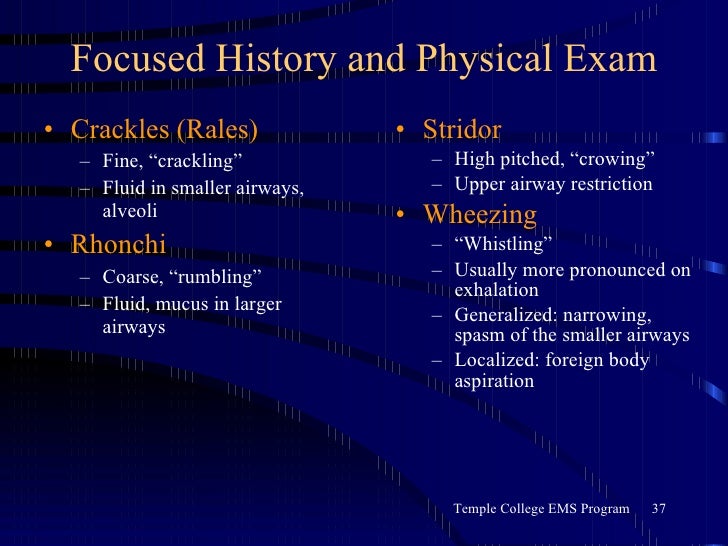Emt the respiratory system