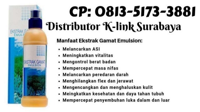 0813 5173 3881 Ekstrak Gamat Emulsion 0813 5173 3881 Ekstrak Gamat Emulsion