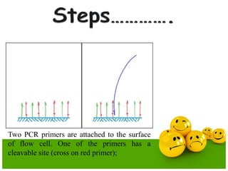 Two PCR primers are attached to the surface
of flow cell. One of the primers has a
cleavable site (cross on red primer);
 