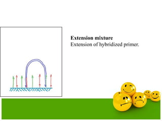 Extension mixture
Extension of hybridized primer.
 