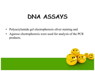 • Polyacrylamide gel electrophoresis silver staining and
• Agarose electrophoresis were used for analysis of the PCR
products.
 