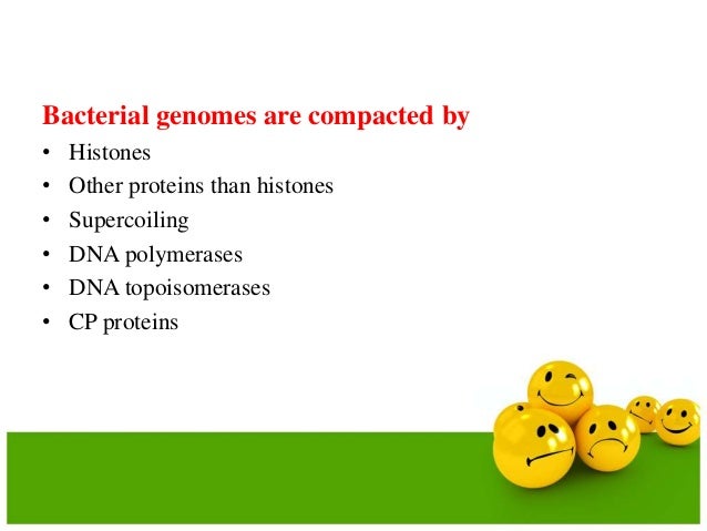 bridge pcr vs emulsion pcr bridge pcr vs emulsion pcr