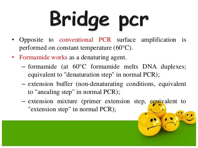 bridge diagnostics pcr test results bridge diagnostics pcr test results