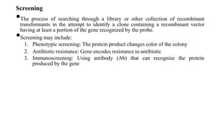Screening
•The process of searching through a library or other collection of recombinant
transformants in the attempt to identify a clone containing a recombinant vector
having at least a portion of the gene recognized by the probe.
•Screening may include:
1. Phenotypic screening: The protein product changes color of the colony
2. Antibiotic resistance: Gene encodes resistance to antibiotic
3. Immunoscreening: Using antibody (Ab) that can recognize the protein
produced by the gene
 