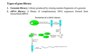 gene library | PPT