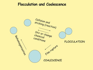 Flocculation and Coalescence
FLOCCULATION
COALESCENCE
 