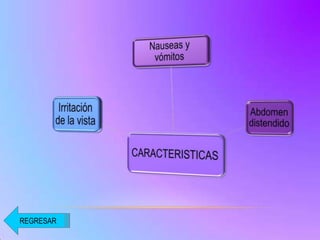 REGRESAR