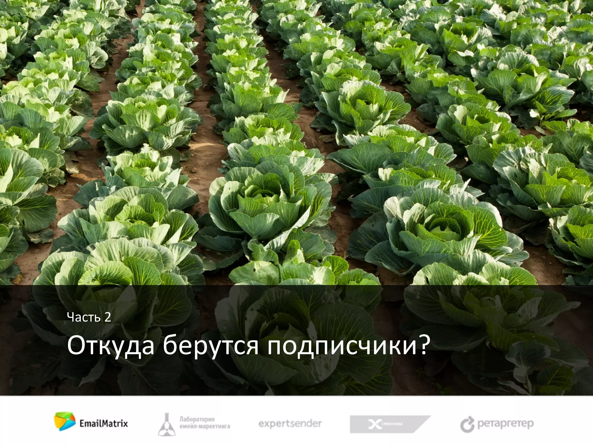 Часть 2

Откуда берутся подписчики?

 