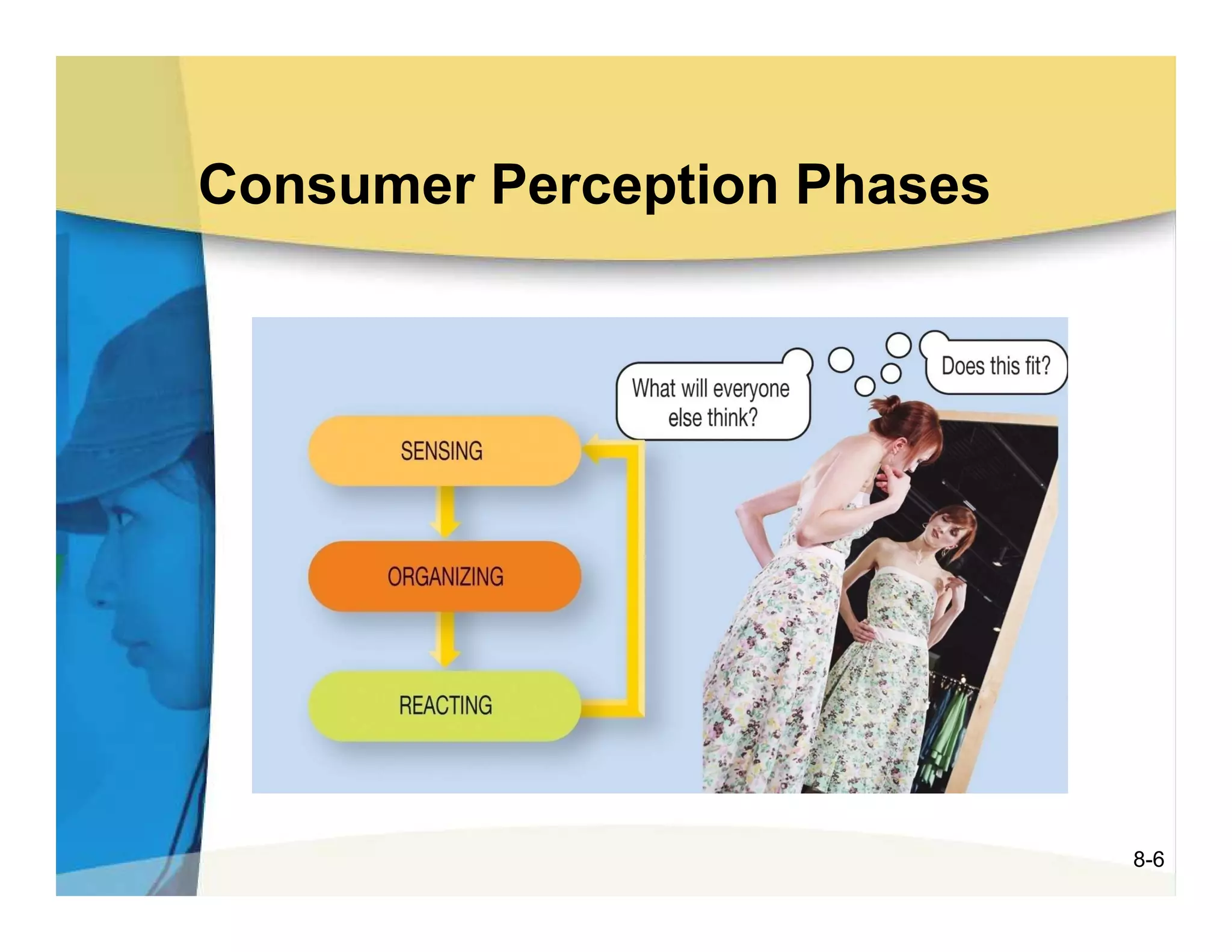 Consumer Perception Phases




                             8-6
 