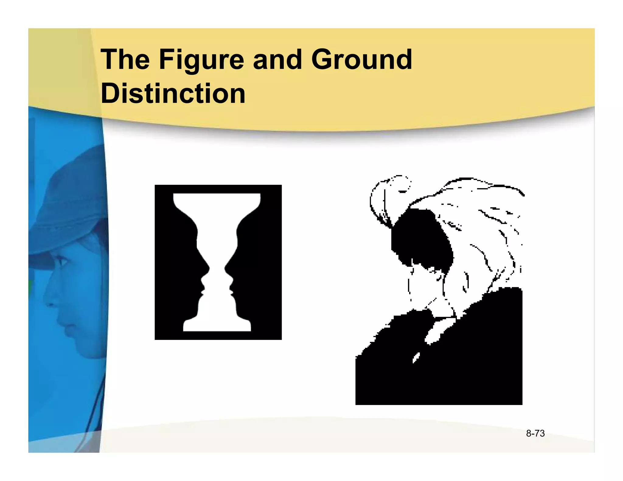 The Figure and Ground
Distinction




                        8-73
 