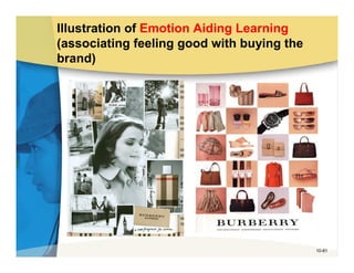 Illustration of Emotion Aiding Learning
(associating feeling good with buying the
brand)




                                            10-81
 