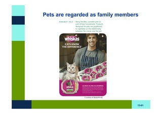 Pets are regarded as family members




                                  13-61
 