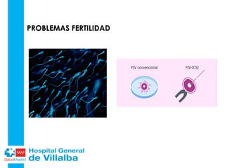 PROBLEMAS FERTILIDAD
 