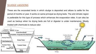 SLUDGE LAGOONS
These are the excavated lands in which sludge is deposited and allows to settle for the
period of months or year. It works on same principal as drying beds. The arid climatic region
is preferable for this type of process which enhances the evaporation rates. It can also be
used as backup when he drying beds are full or digester is under maintenance. Mostly
treated with chemicals to reduce odor.
 