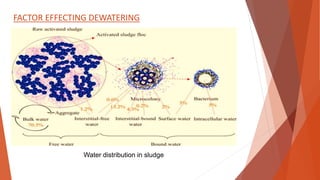 FACTOR EFFECTING DEWATERING
Water distribution in sludge
 