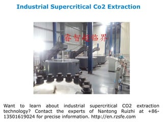 Industrial Supercritical Co2 Extraction
Want to learn about industrial supercritical CO2 extraction
technology? Contact the experts of Nantong Ruizhi at +86-
13501619024 for precise information. http://en.rzsfe.com
 