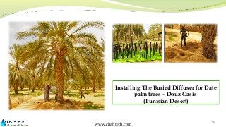 Installing The Buried Diffuser for Date
palm trees – Douz Oasis
(Tunisian Desert)

www.chahtech.com

21

 