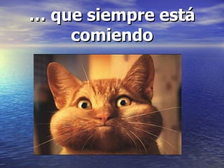 … que siempre está comiendo