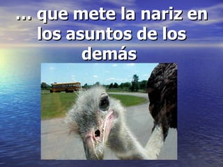 … que mete la nariz en los asuntos de los demás