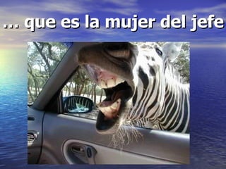 … que es la mujer del jefe