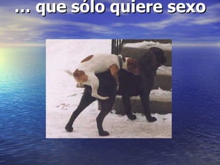 … que sólo quiere sexo