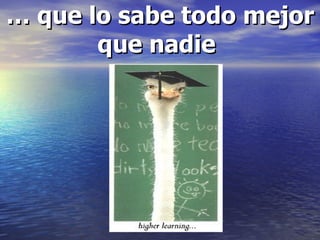 … que lo sabe todo mejor que nadie