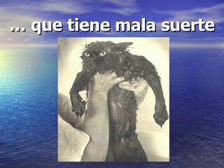 … que tiene mala suerte