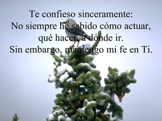Te confieso sinceramente : N o siempre he sabido cómo actuar, qué hacer, a   dónde ir. Sin embargo,  mantengo mi fe en Ti. 