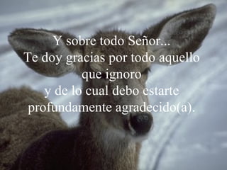 Y sobre todo Señor... T e doy gracias   por todo aquello que ignoro y de lo cual debo estarte profundamente agradecido(a). 
