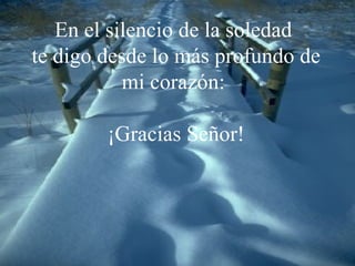 En el silencio de la soledad   te digo desde lo más profundo de mi corazón:  ¡ Gracias  Señor! 