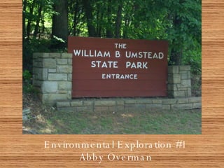 Environmental Exploration #1 Abby Overman 