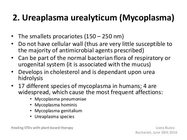 Natural Treatment For Ureaplasma Urealyticum Natural Treatment For Ureaplasma Urealyticum