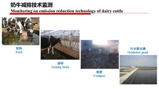 Project implementation plan: Piloting and scaling of low emission development options in large scale dairy farms in China