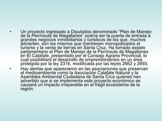 Un proyecto ingresado a Diputados denominado “Plan de Manejo de la Península de Magallanes” podría ser la puerta de entrada a grandes negocios inmobiliarios y turísticos de los que, muchos advierten, son los mismos que mantienen monopolizados el turismo y la venta de tierras en Santa Cruz. Ha tomado estado parlamentario el Plan de Manejo de la Península de Magallanes en El Calafate, presentado por el Consejo Agrario Provincial, lo cual posibilitará el desarrollo de emprendimientos en un área protegida por la ley 2316, modificada por las leyes 2662 y 2693. Hay alertas que aparecieron en las asociaciones que preservan el medioambiente como la Asociación Calafate Natural y la Asamblea Ambiental Ciudadana de Santa Cruz quienes han advertido que si se implementa este proyecto económico se causará un impacto irreparable en el frágil ecosistema de la región. 