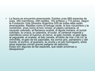 La fauna se encuentra amenazada. Existen unas 985 especies de aves, 345 mamíferos, 248 reptiles, 145 anfibios y 710 peces. Según la Fundación Vida Silvestre Argentina 529 de todas ellas están amenazadas. Reptiles como la tortuga verde, la boa vizcachera y la constrictor, aves como el loro vinoso, el pájaro campana, el cauquén colorado, el flamenco austral, el águila monera, el zorzal colorado, la urraca, la calandria, el tucán, el cardenal imperial y mamíferos como el huemul, el ciervo, el gato montés, el gato tigre, el yaguareté, el ocelote, el tatú carreta, el lobito de mar y de río, la chinchilla, el gato de los pajonales, los zorros gris, pampeano y del monte, el zorrino, el guanaco, la vicuña y el oso hormiguero, entre otras especies corren graves peligros de extinción.  Estas son algunas de las especies, que están próximas a desaparecer  