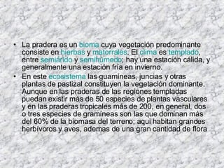 La pradera es un  bioma  cuya vegetación predominante consiste en  hierbas  y  matorrales . El  clima  es  templado , entre  semiárido  y  semihúmedo ; hay una estación cálida, y generalmente una estación fría en invierno. En este  ecosistema  las guamíneas, juncias y otras plantas de pastizal constituyen la vegetación dominante. Aunque en las praderas de las regiones templadas puedan existir más de 50 especies de plantas vasculares y en las praderas tropicales más de 200, en general, dos o tres especies de gramíneas son las que dominan más del 60% de la biomasa del terreno; aqui habitan grandes herbívoros y aves, ademas de una gran cantidad de flora 