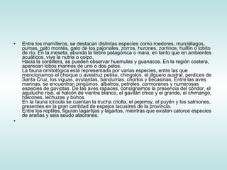 Entre los mamíferos, se destacan distintas especies como roedores, murciélagos, pumas, gato montés, gato de los pajonales, zorros, hurones, zorrinos, huillín o lobito de río. En la meseta, abunda la liebre patagónica o mara, en tanto que en ambientes acuáticos, vive la nutria o coipo.  Hacia la cordillera, se pueden observar huemules y guanacos. En la región costera, aparecen lobos marinos de uno o dos pelos. La fauna ornitológica está representada por varias especies, entre las que mencionamos el choique o avestruz petiso, chingolos, el jilguero austral, perdices de Santa Cruz, los viguas, avutardas, bandurrias, chorlos y becasinas. Entre las aves marinas, se encuentran pingüinos, albatros, petreles, cormoranes y numerosas especies de gaviotas. De las aves rapaces, consignamos la presencia del cóndor, el aguilucho rojo, el halcón de vientre blanco, el gavilán chico y el grande, el chimango, halcones, lechuzas y búhos. En la fauna ictícola se cuentan la trucha criolla, el pejerrey, el puyén y los salmones, presentes en la gran cantidad de espejos lacustres de la provincia.  Entre los reptiles, figuran lagartijas y lagartos, mientras que existen catorce especies de arañas y seis seudo alacranes.  